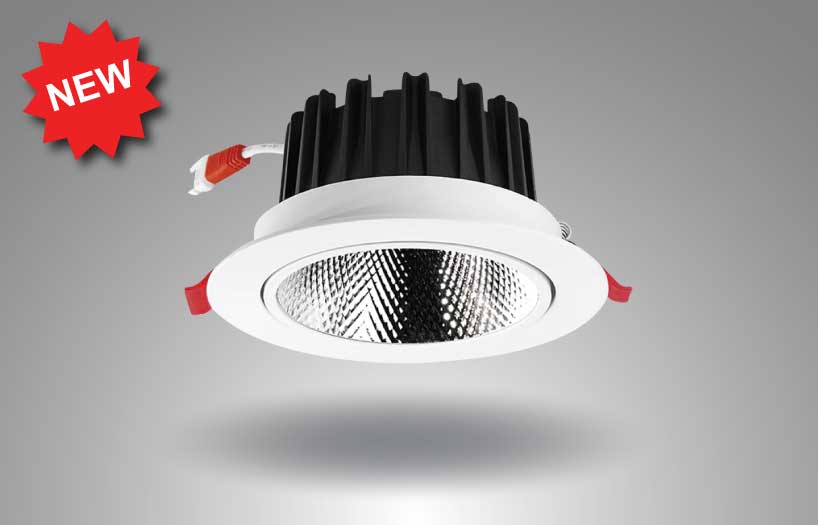 SL 271 Adjustable Downlight Series